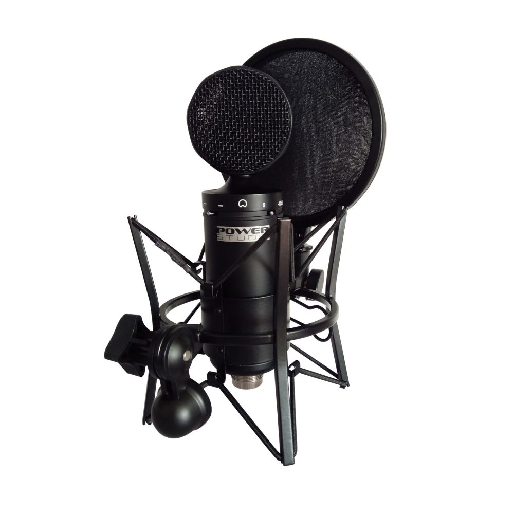 Microphone à condensateur professionnel avec filtre anti-pop et